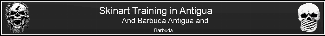 Skinart Training in Antigua And Barbuda Antigua and Barbuda