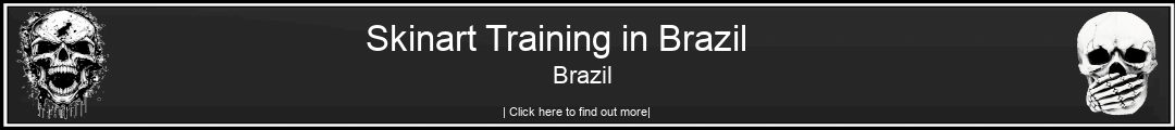 Skinart Training in Brazil Brazil