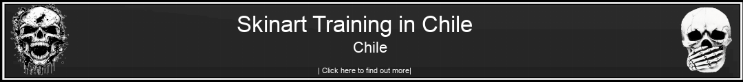 Skinart Training in Chile Chile