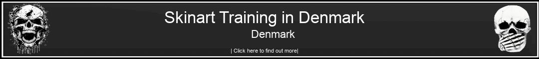 Skinart Training in Denmark Denmark