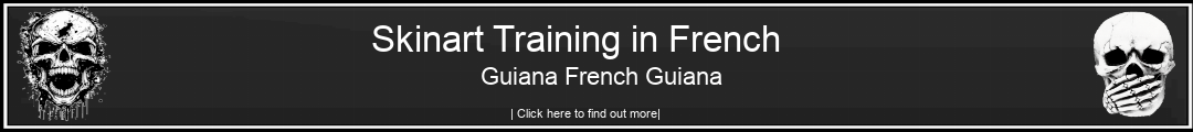 Skinart Training in French Guiana French Guiana