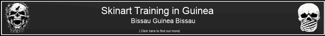 Skinart Training in Guinea Bissau Guinea Bissau