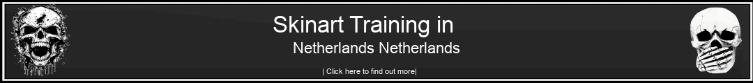 Skinart Training in Netherlands Netherlands