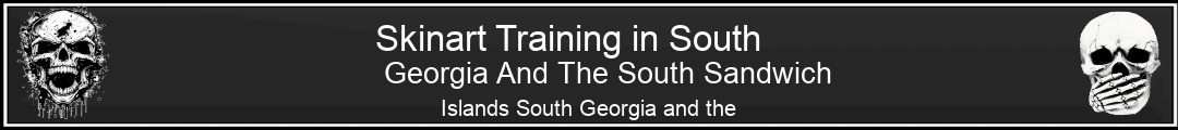 Skinart Training in South Georgia And The South Sandwich Islands South Georgia and the South Sandwich Islands