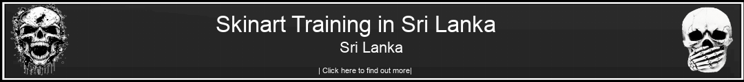 Skinart Training in Sri Lanka Sri Lanka