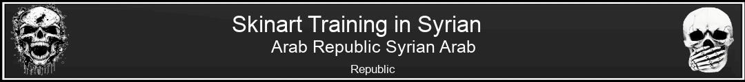 Skinart Training in Syrian Arab Republic Syrian Arab Republic